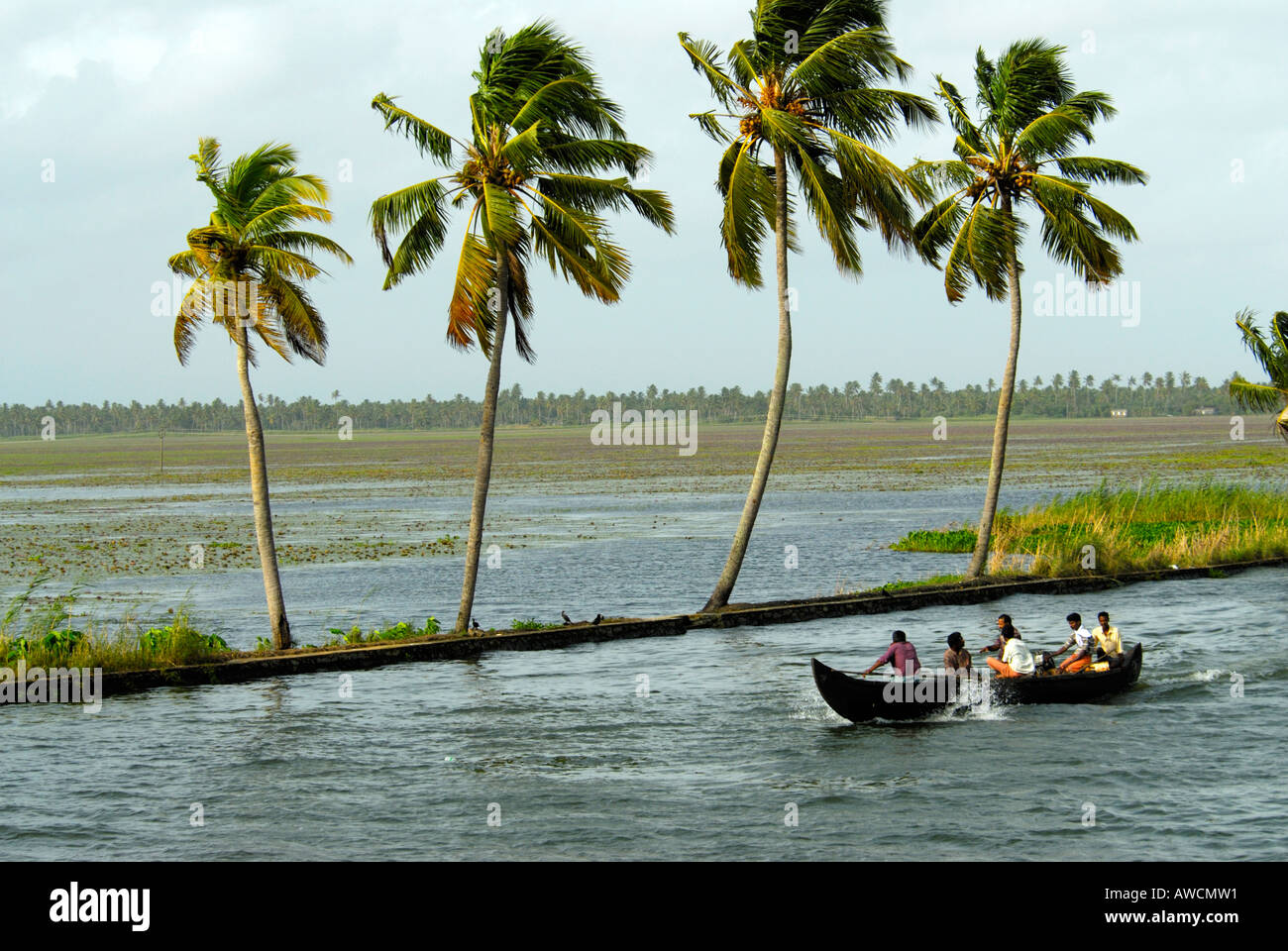 Alleppey
