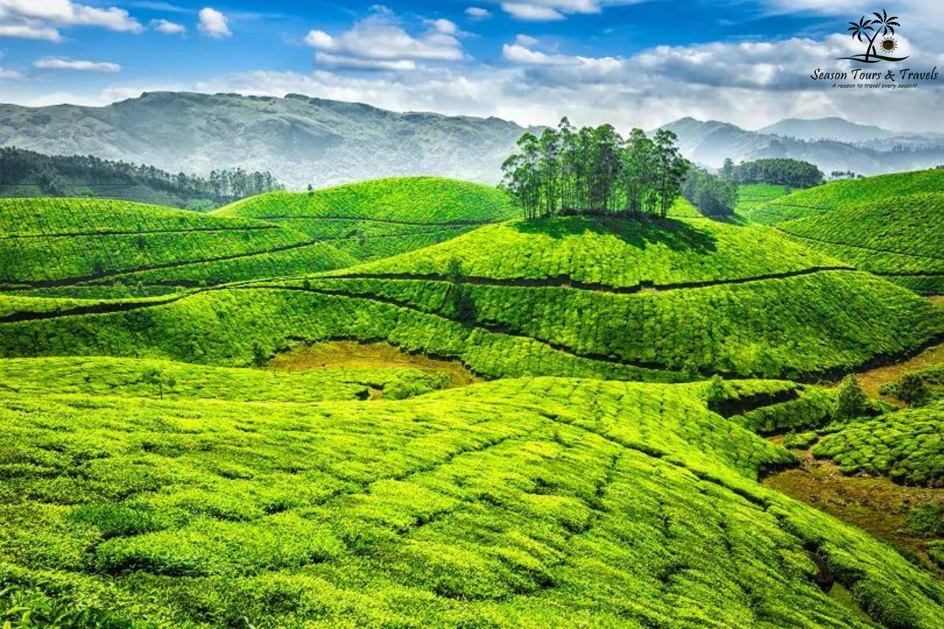 Ooty & Kodaikanal