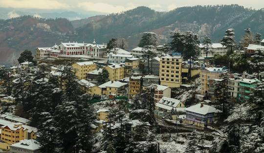 Shimla