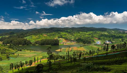 Ooty